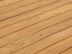 Apple Bee Condor Gartentisch 190x95x75 cm