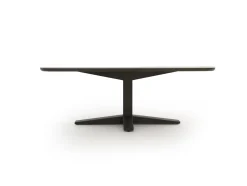 Apple Bee Zanzibar dänisch oval Gartentisch 220x110x77 cm