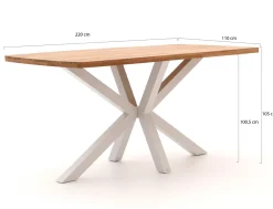Bellagio Induno Dänisch oval Bartisch 220x110x105 cm
