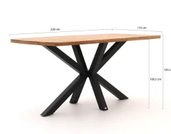 Bellagio Induno Dänisch oval Bartisch 220x110x105 cm