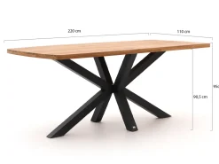 Bellagio Mineo/Induno dänisch oval 220 cm High Dining Gartenmöbel-Set 7-teilig