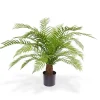 Designplants Alsophillia Farn Kunstpflanze (h: 80 cm)