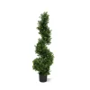 Designplants Buchsbaum Spirale Kunstbaum (h: 100 cm)