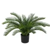 Designplants Cycas-Palme Kunstpflanze (h: 60 cm)