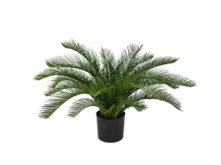 Designplants Cycas-Palme Kunstpflanze (h: 60 cm)