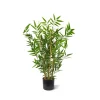Designplants Japanischer Bambus Kunstpflanze (h: 60 cm)
