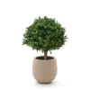 Designplants/Luca Lifestyle Buxus Kugel Kunstpflanze (h:40 cm) mit Bordo Balloon Blumentopf