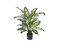 Designplants/Luca Lifestyle Dieffenbachia Kunstpflanze (h:60 cm) mit Bordo Balloon Blumentopf