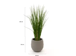 Designplants/Luca Lifestyle Gras Kunstpflanze (h:80 cm) mit Bordo Balloon Blumentopf