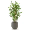 Designplants/Luca Lifestyle Japanischer Bambus Kunstpflanze (h:90 cm) mit Bordo Balloon Blumentopf