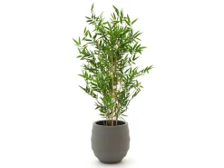 Designplants/Luca Lifestyle Japanischer Bambus Kunstpflanze (h:90 cm) mit Bordo Balloon Blumentopf