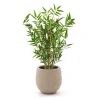 Designplants/Luca Lifestyle Japanischer Bambus Kunstpflanze (h:60 cm) mit Bordo Balloon Blumentopf