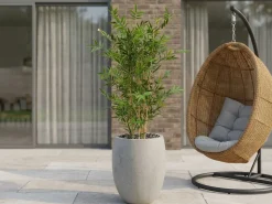 Designplants/Luca Lifestyle Japanischer Bambus Kunstpflanze (h:120 cm) mit Grigio Tall Balloon Blumentopf