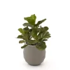 Designplants/Luca Lifestyle Lyrata Kunstpflanze (h:45 cm) mit Bordo Balloon Blumentopf