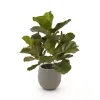 Designplants/Luca Lifestyle Lyrata Kunstpflanze (h:45 cm) mit Bordo Balloon Blumentopf