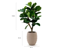 Designplants/Luca Lifestyle Lyrata Y Kunstbaum (h:130 cm) mit Bordo Tall Balloon Blumentopf