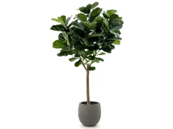 Designplants/Luca Lifestyle Lyrata Y Kunstbaum (h:220 cm) mit Grigio Balloon Blumentopf