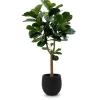 Designplants/Luca Lifestyle Lyrata Y Kunstbaum (h:170 cm) mit Grigio Balloon Blumentopf