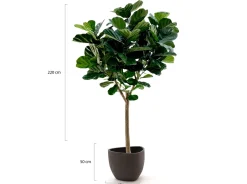 Designplants/Luca Lifestyle Lyrata Y Kunstbaum (h:220 cm) mit Ruvido Organic Blumentopf