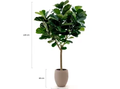 Designplants/Luca Lifestyle Lyrata Y Kunstbaum (h:220 cm) mit Terreno Tall Balloon Blumentopf