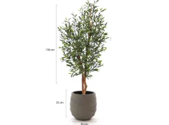 Designplants/Luca Lifestyle Oliven Kunstbaum (h:150 cm) mit Bordo Balloon Blumentopf