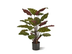 Designplants/Luca Lifestyle Red Calathea Makoyana Kunstpflanze (h:60 cm) mit Bordo Balloon Blumentopf