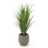 Designplants/Luca Lifestyle Reitgras Kunstpflanze (h:100 cm) mit Bordo Balloon Blumentopf