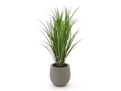 Designplants/Luca Lifestyle Reitgras Kunstpflanze (h:100 cm) mit Bordo Balloon Blumentopf