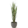 Designplants/Luca Lifestyle Riedgras Kunstpflanze (h:165 cm) mit Grigio New Egg Blumentopf