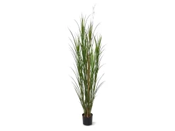 Designplants/Luca Lifestyle Riedgras Kunstpflanze (h:165 cm) mit Grigio New Egg Blumentopf