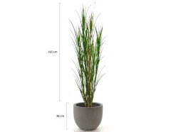 Designplants/Luca Lifestyle Riedgras Kunstpflanze (h:165 cm) mit Grigio New Egg Blumentopf
