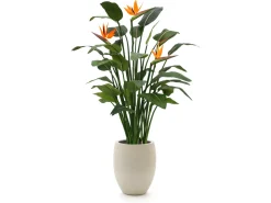 Designplants/Luca Lifestyle Strelitzia Kunstpflanze (h:145 cm) mit Grigio Tall Balloon Blumentopf