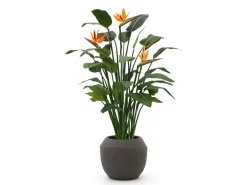 Designplants/Luca Lifestyle Strelitzia Kunstpflanze (h:145 cm) mit Ruvido Combi Blumentopf
