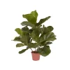 Designplants Lyrata Kunstpflanze (h: 45 cm)
