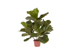 Designplants Lyrata Kunstpflanze (h: 45 cm)