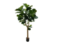Designplants Lyrata Y Kunstbaum (h: 170 cm)