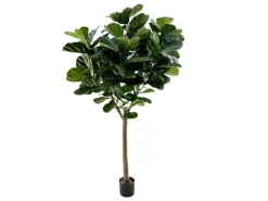 Designplants Lyrata Y Kunstbaum (h: 220 cm)