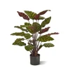 Designplants Red Calathea Makoyana Kunstpflanze (h: 60 cm)
