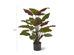 Designplants Red Calathea Makoyana Kunstpflanze (h: 60 cm)
