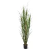 Designplants Schilfgras Kunstpflanze (h: 165 cm)