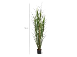 Designplants Schilfgras Kunstpflanze (h: 165 cm)
