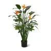 Designplants Strelitzia Kunstpflanze (h: 145 cm)