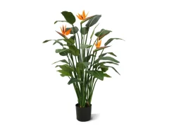 Designplants Strelitzia Kunstpflanze (h: 145 cm)