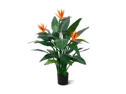 Designplants Strelitzia Kunstpflanze (h: 115 cm)