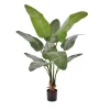 Designplants Strelitzia Nicolai Kunstpflanze (h: 145 cm)