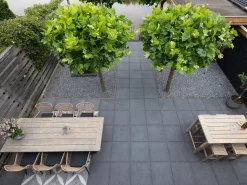 Intenso Asti/ROUGH-S 220 cm Gartenmöbel-Set 7-teilig