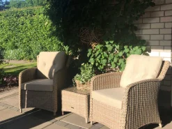 Intenso Leone Gartensessel