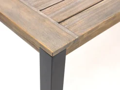 ROUGH-S Gartentisch 300x90x76 cm