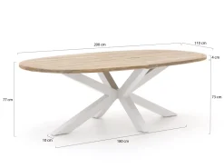 ROUGH-Y Ellips Gartentisch 200x110 cm
