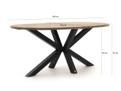 ROUGH-Y Ellips High Dining Gartentisch 240x120 cm
